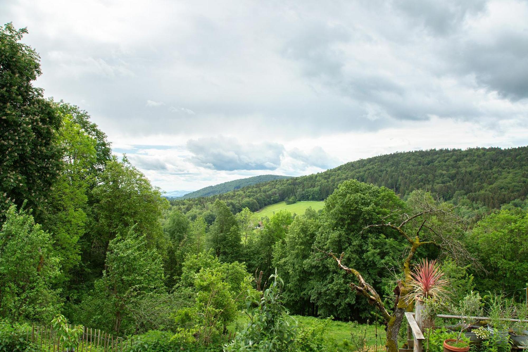 Landhaus Am Eselhof Daxstein Schollnach ภายนอก รูปภาพ